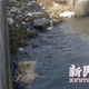 Image for article titled 2,800 dead pigs—just another example of the waste that pollutes China’s waterways